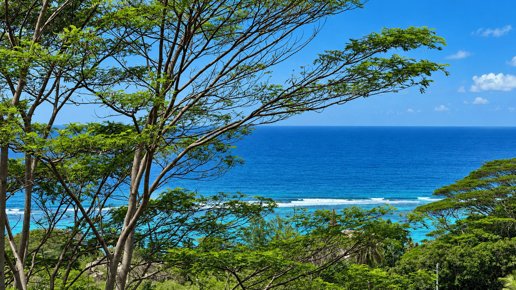 Ocean and the south-east coastline of Mahe seen through tropical vegetation